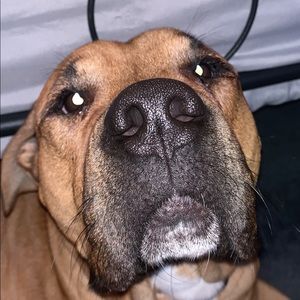 Meet your Posher, James